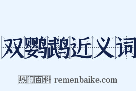 双鹦鹉近义词是什么意思的图片
